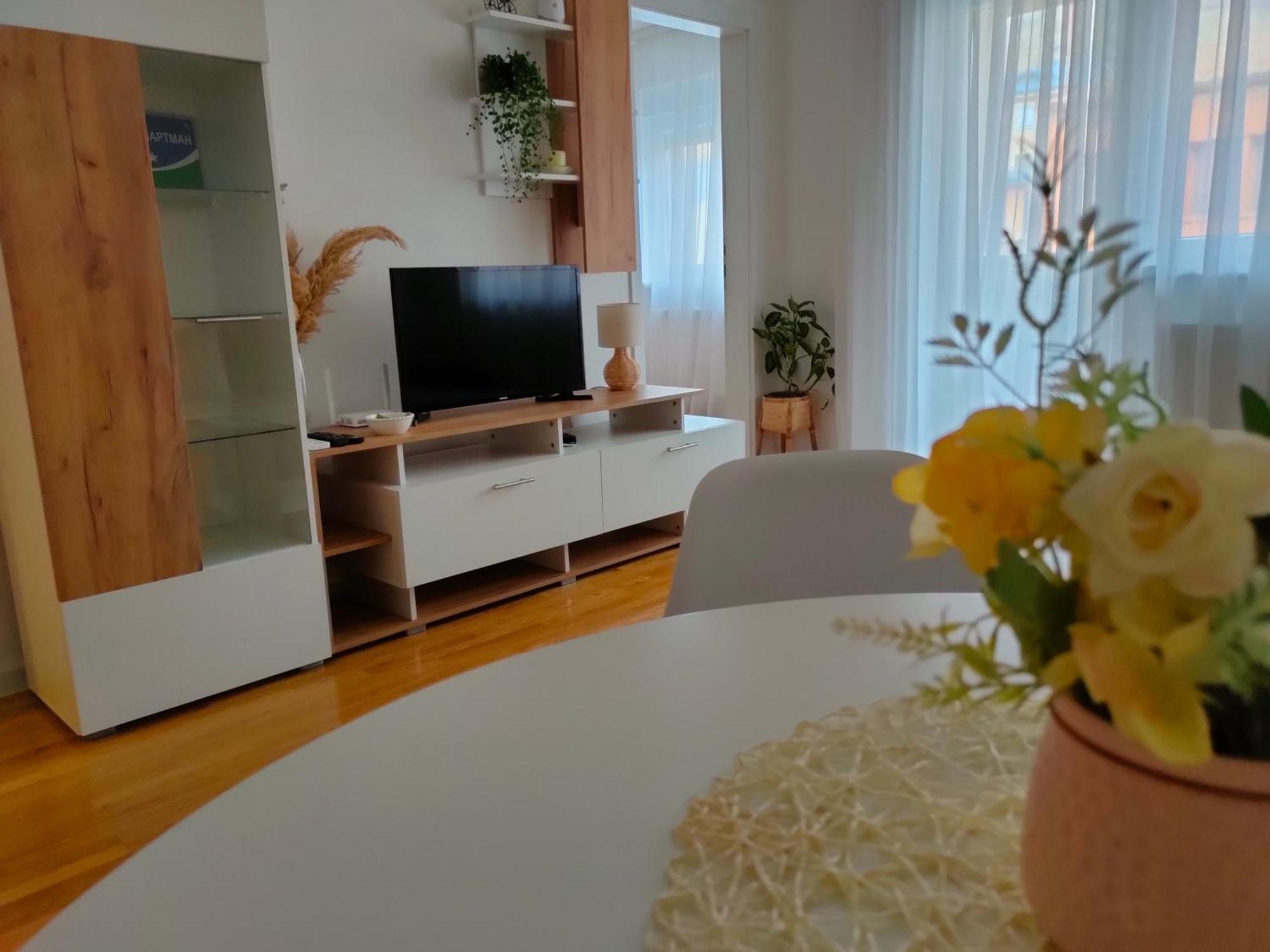 Aleksandar Apartment *